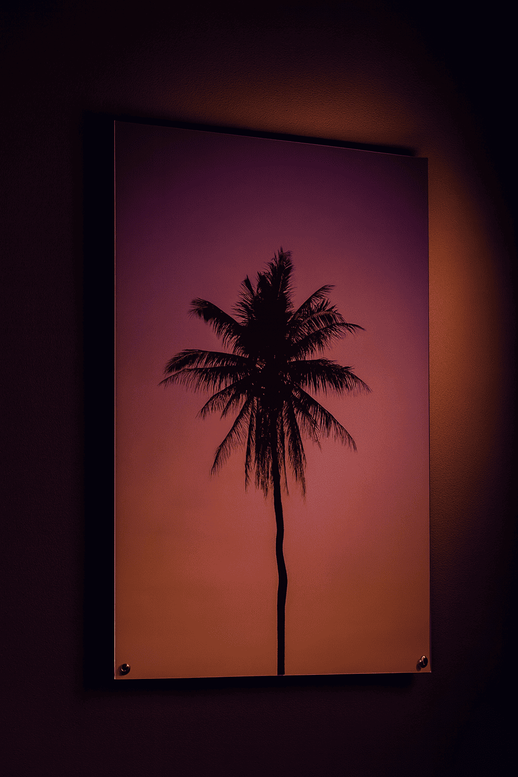 نخلة في سماء الغروب مطبوعة على ألمنيوم